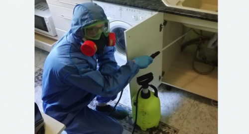 Уничтожение муравьев в квартире. Гремячинск