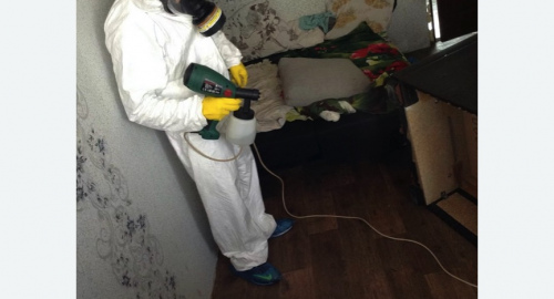 Обработка квартир от насекомых в Гремячинске