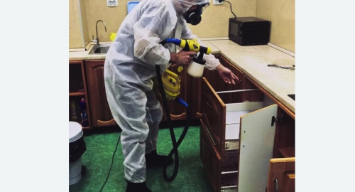 Дезинсекция квартиры. Гремячинск