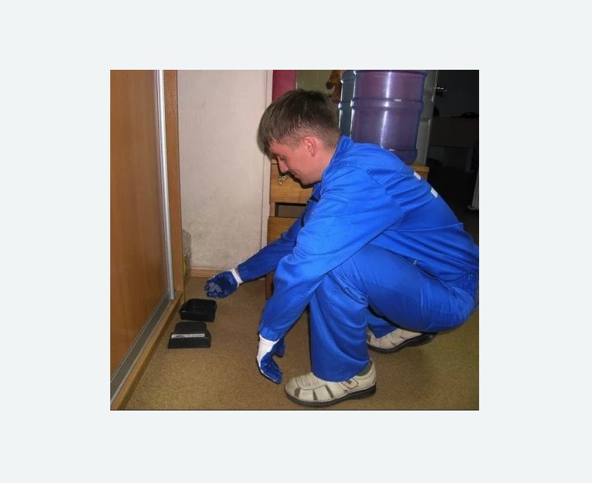 Дератизация крыс в Гремячинске