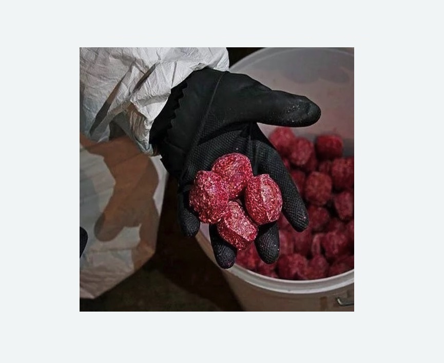 Обработка от крыс в Гремячинске