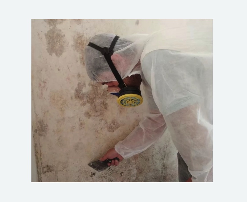Обработка стен от плесени в Гремячинске
