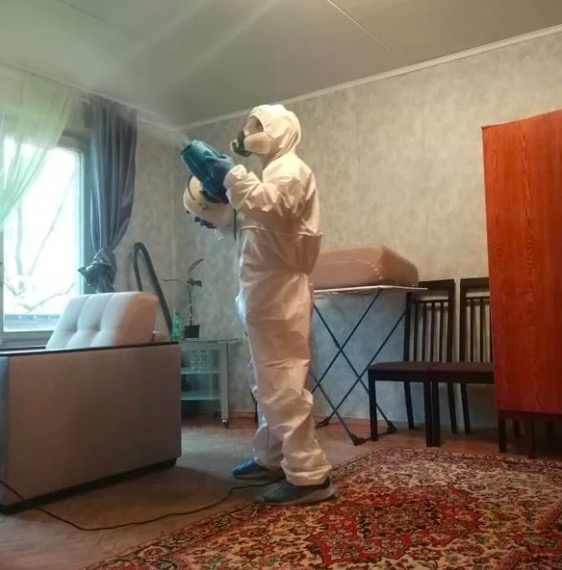 дезинсекция квартиры в Гремячинске