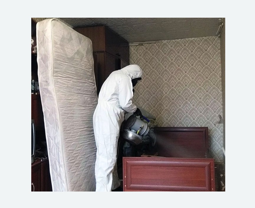 дезинфекция от клопов в Гремячинске