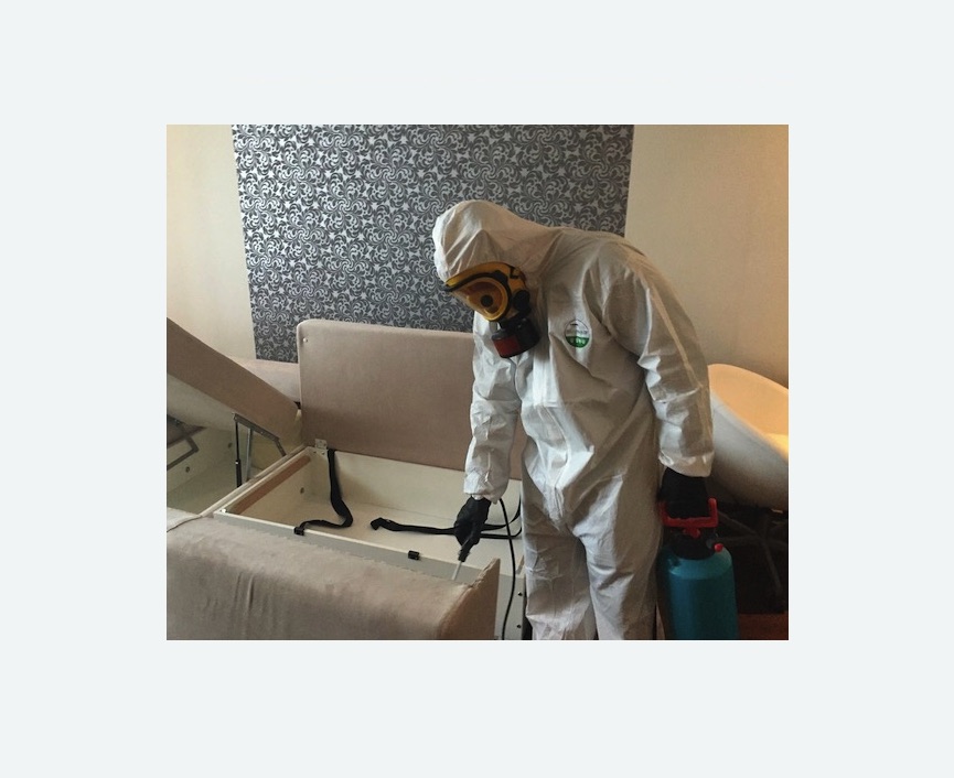 уничтожение клопов в квартире в Гремячинске