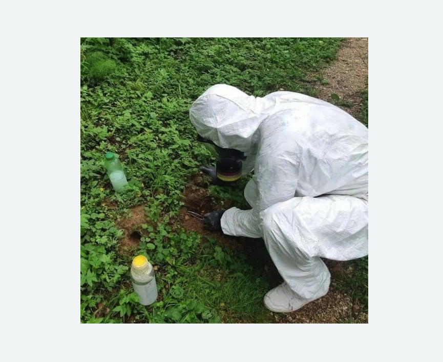 уничтожение кротов на участке в Гремячинске