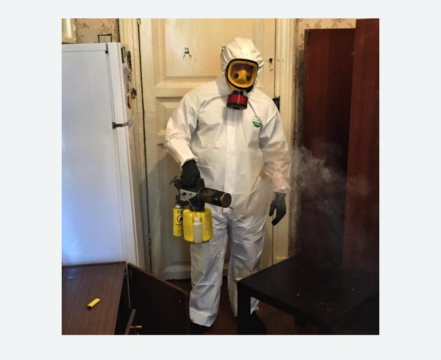 уничтожение муравьев в квартире в Гремячинске